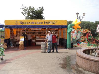 Торговая палатка тентовая 6*5 м (№2) (Витебская область, г.Браслав)